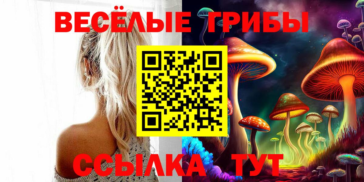 Псилоцибиновые грибы Psilocybine cubensis Сатка