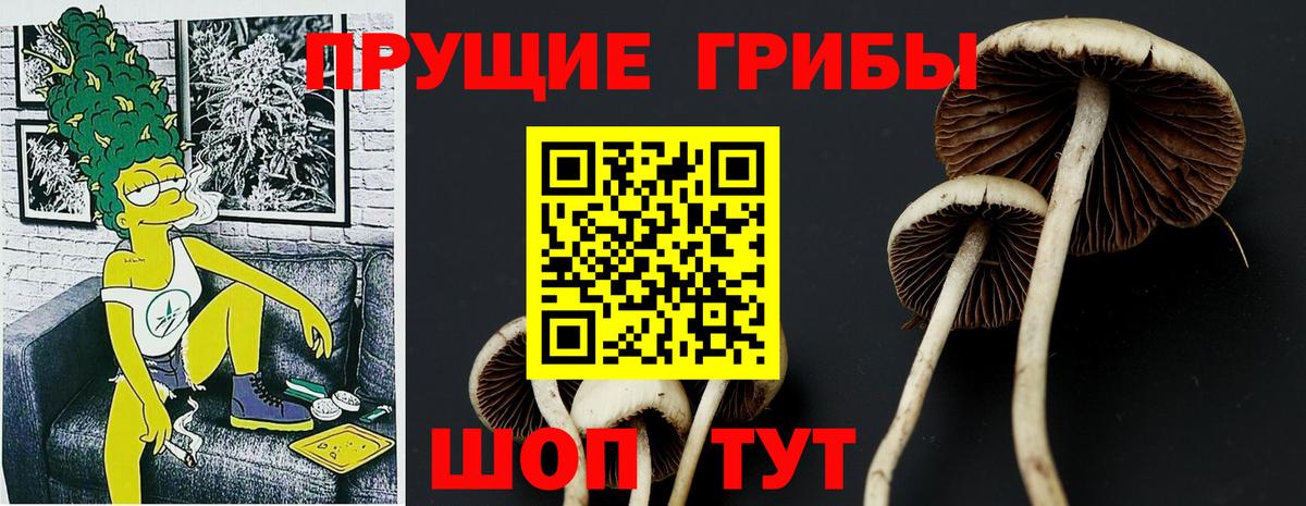сколько стоит  Галлюциногенные грибы мицелий  Вход с VPN  Галлюциногенные грибы GOLDEN TEACHER  Сатка 